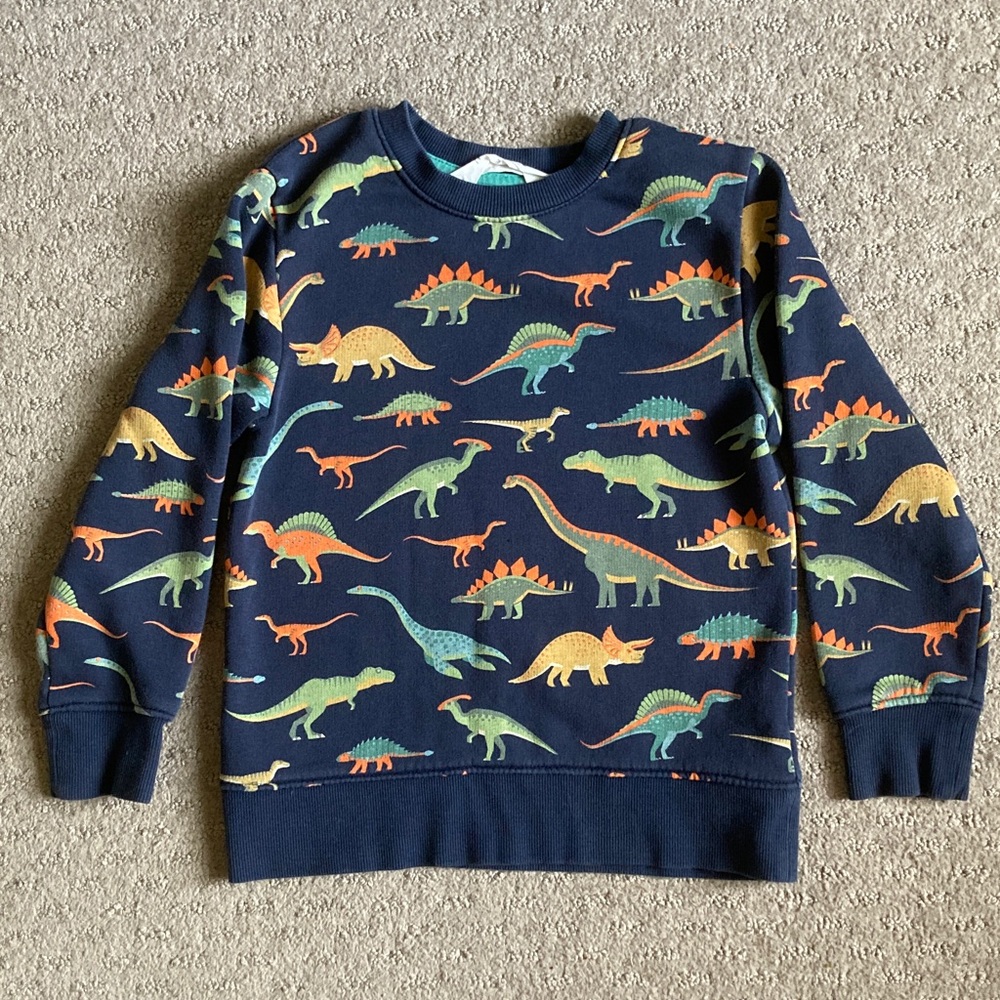 H&M blue dinosaurs cotton sweatshirt, 4-6Y.